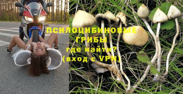 соль курить ск Алзамай