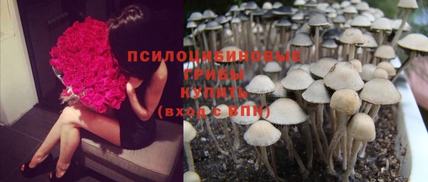 марки nbome Алексеевка