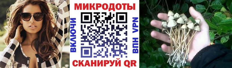 гидра ТОР Новомичуринск Галлюциногенные грибы Psilocybe даркнет сайт